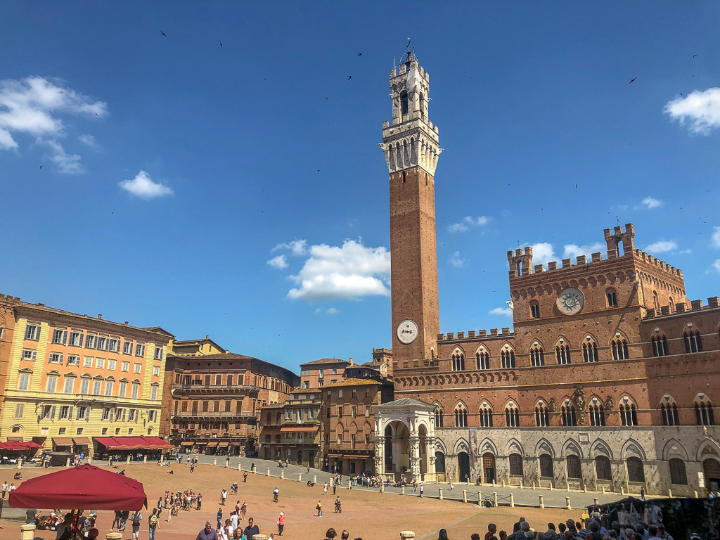 Siena piazza