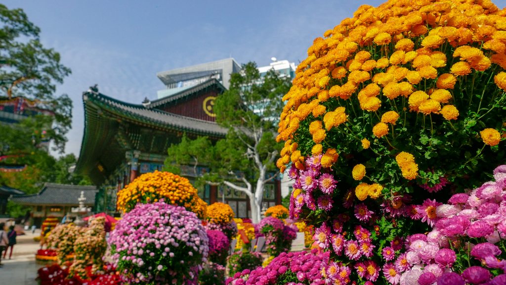 Jogyesa temple Seoul